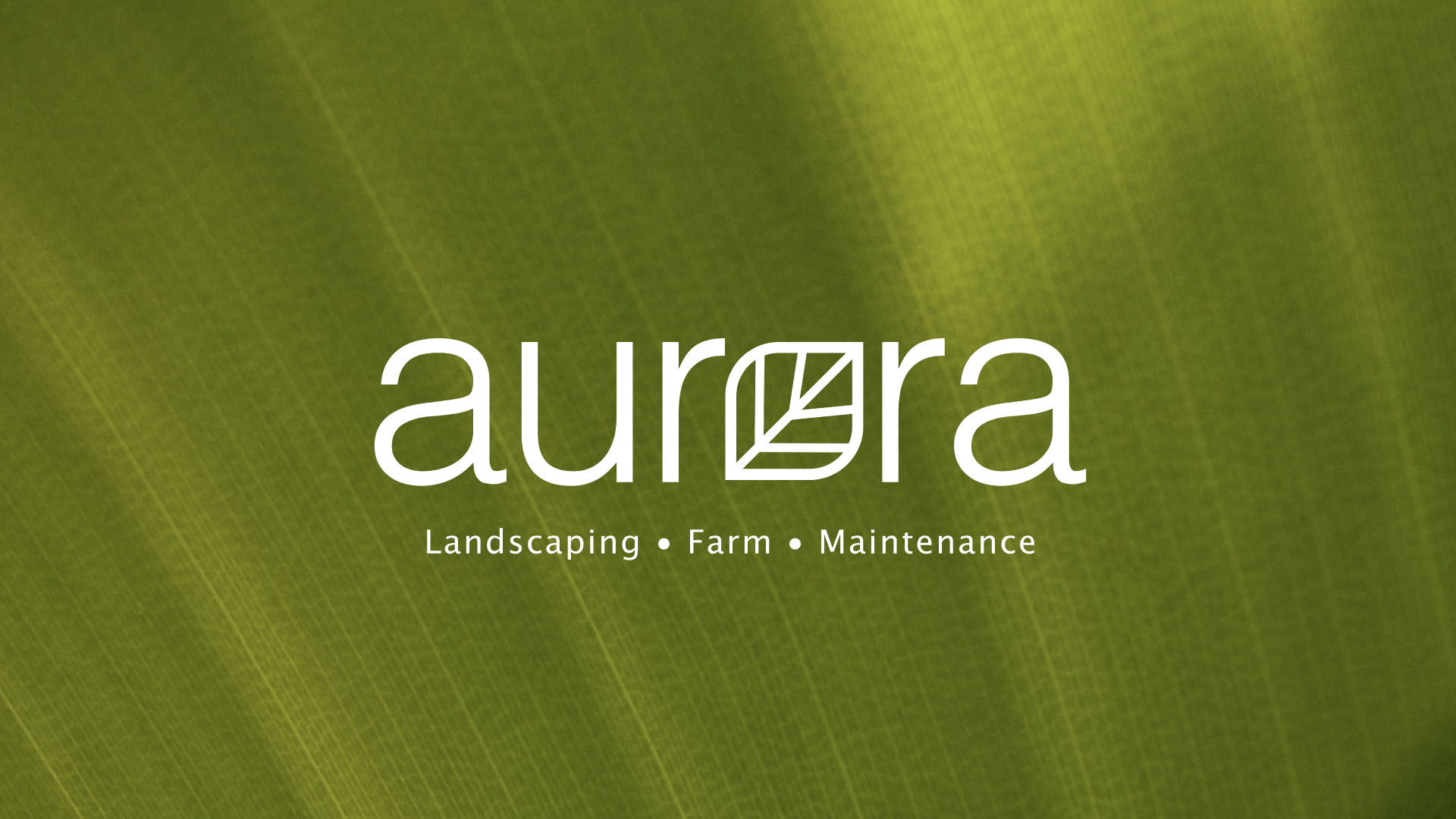 an image of the aurora logo on top of a green leaf-like background