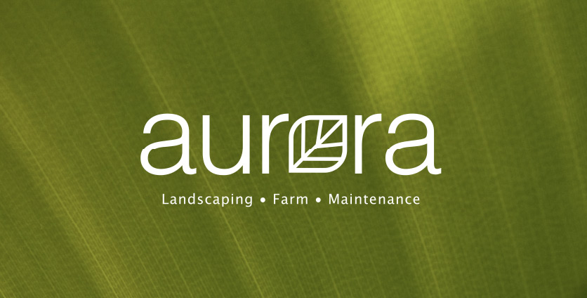 Aurora logo on a green background