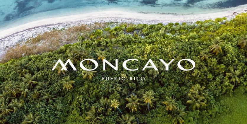 Moncayo logo on top of an aerial view of the beach and palm trees