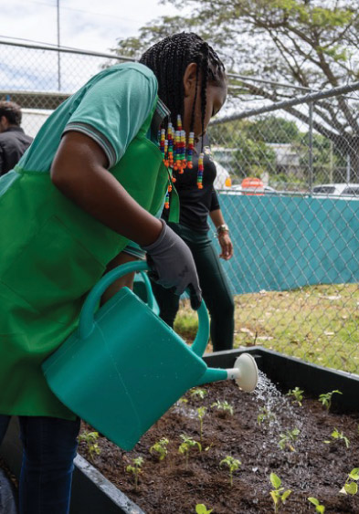 a photo of a girl watering plants