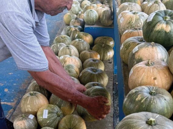 a photo of man picking up a pumpkin from cement steps