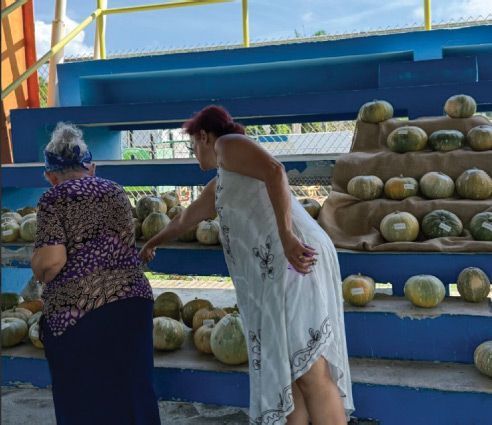 a photo of two women picking pumpkins from cement steps