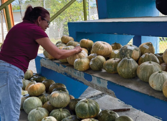 a photo of a woman picking a pumpkin