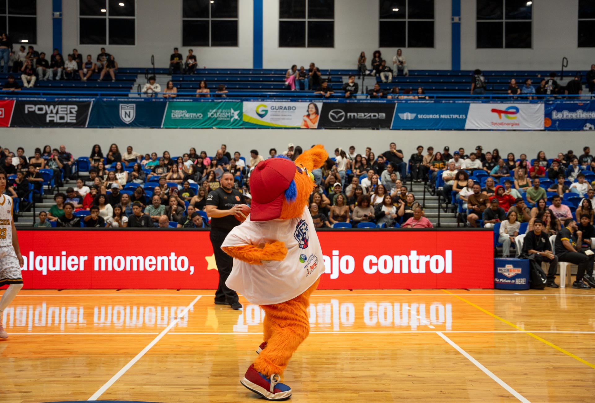 photo of the METS mascot pumping up the crowd