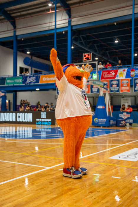 photo of the METS mascot